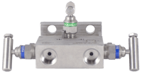PGI Int'l Three-Valve Manifold